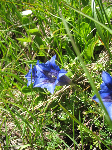 Diapositive img_0395.jpg 