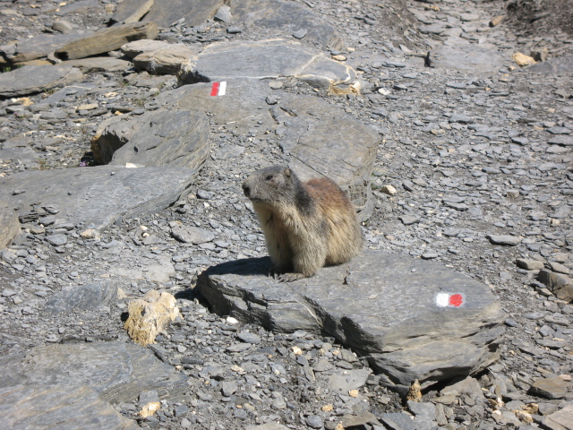 Diapositive img_0408.jpg 