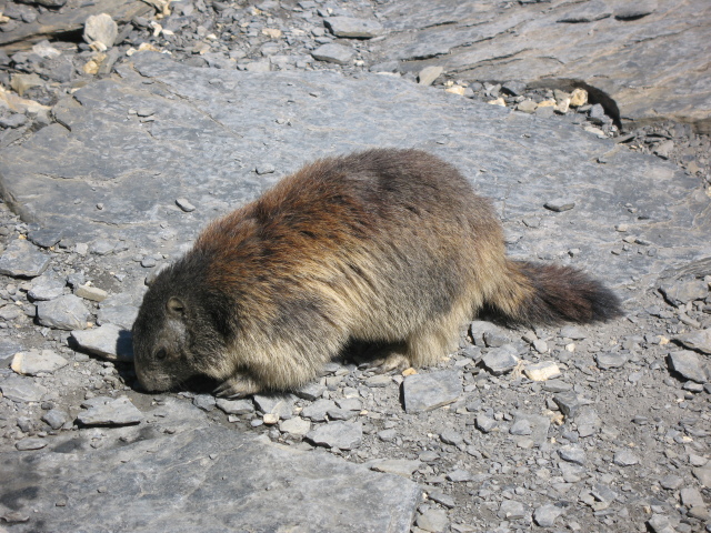 Diapositive img_0410.jpg 