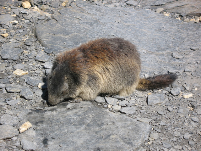 Diapositive img_0413.jpg 