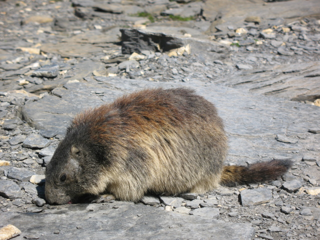 Diapositive img_0414.jpg 