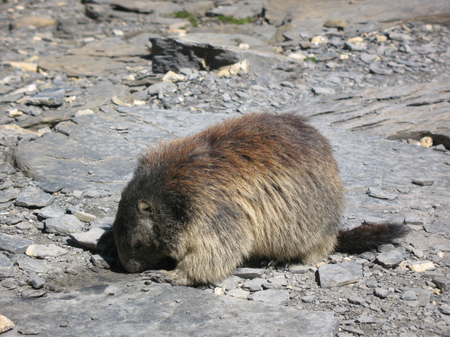 Diapositive img_0416.jpg 