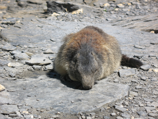 Diapositive img_0420.jpg 