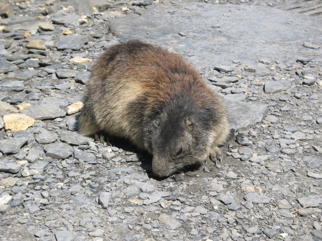 Diapositive img_0425.jpg 