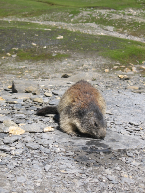 Diapositive img_0428.jpg 