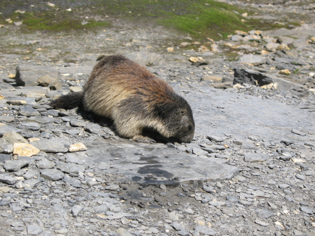 Diapositive img_0429.jpg 