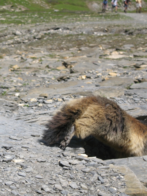 Diapositive img_0431.jpg 