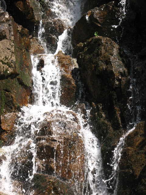 Diapositive img_0463.jpg 