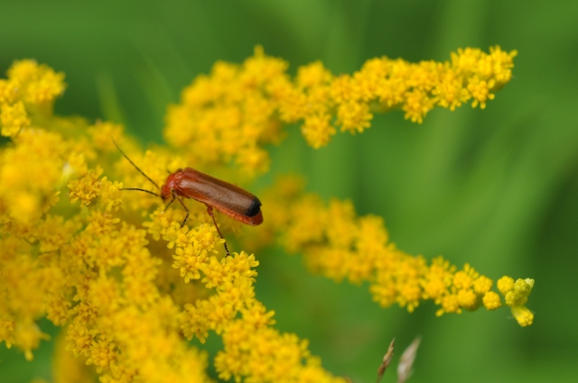 Diapositive 5_DSC_0124.JPG 