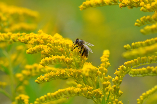 Diapositive 5_DSC_0132.JPG 