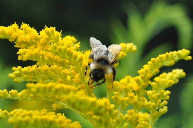 Diapositive 5_DSC_0166.JPG 