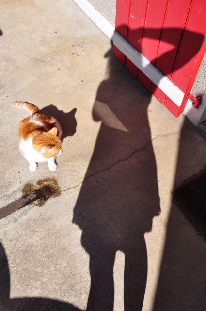 Diapositive 5_DSC_0306.JPG 