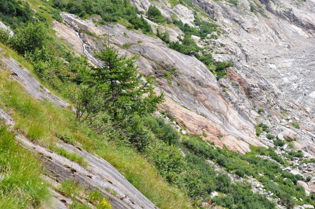 Diapositive 5_DSC_0417.JPG 