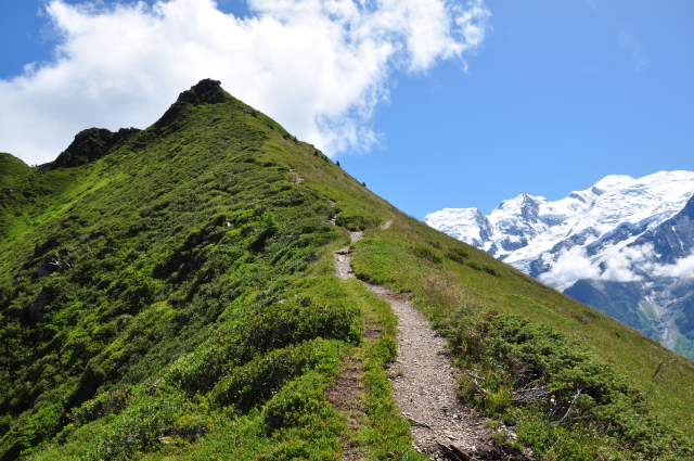 Diapositive 5_DSC_0469.JPG 