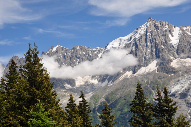 Diapositive 5_DSC_0524.JPG 