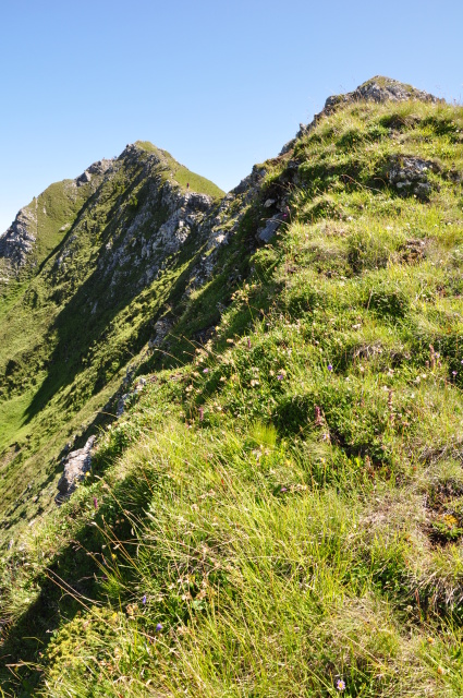 Diapositive 5_DSC_0569.JPG 