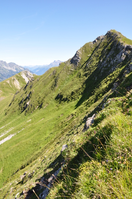 Diapositive 5_DSC_0570.JPG 