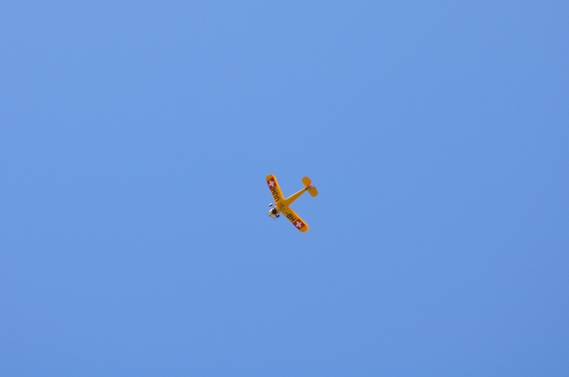 Diapositive 5_DSC_0593.JPG 