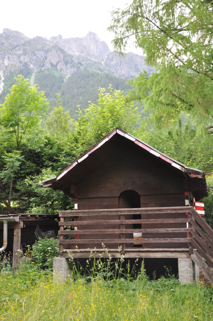 Diapositive 3_DSC_0730.JPG 