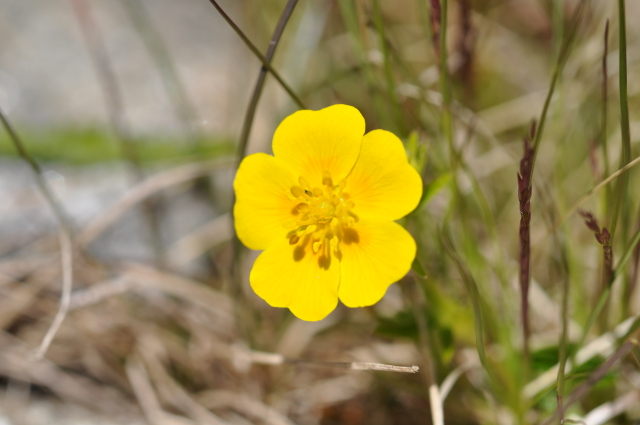 Diapositive 3_DSC_0766.JPG 