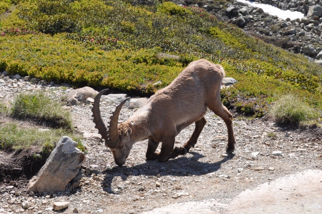 Diapositive 3_DSC_0837.JPG 