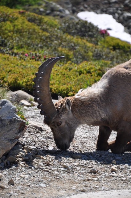 Diapositive 3_DSC_0840.JPG 