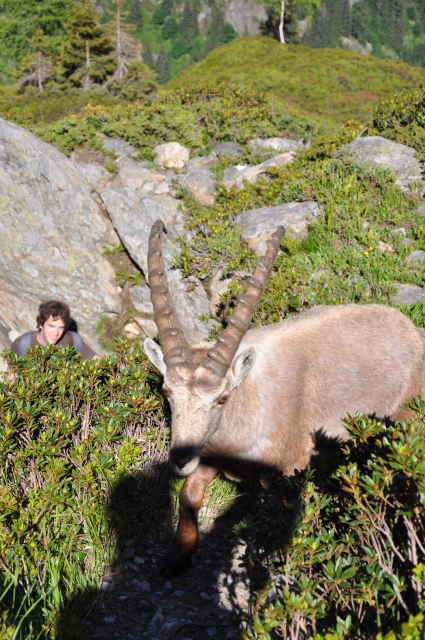 Diapositive 3_DSC_0847.JPG 