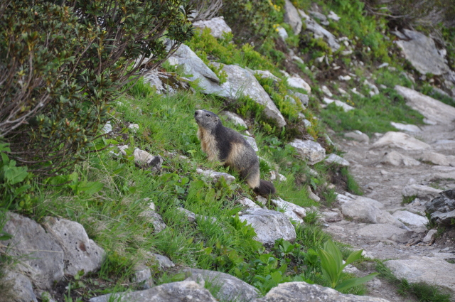 Diapositive 3_DSC_0855.JPG 