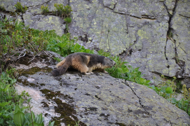 Diapositive 3_DSC_0861.JPG 