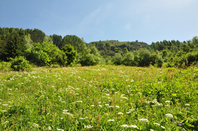 Diapositive 3_DSC_0933.JPG 