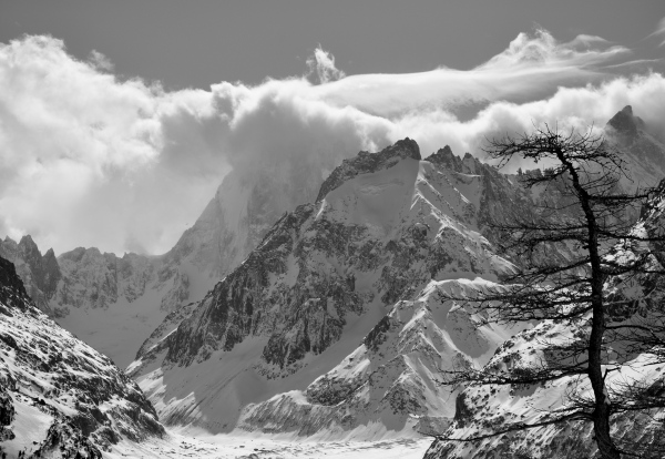 Scaled image s204-p024.jpg 