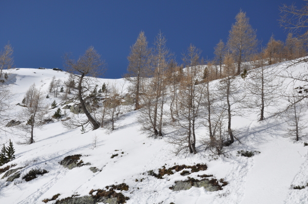 Scaled image s204-p029.jpg 