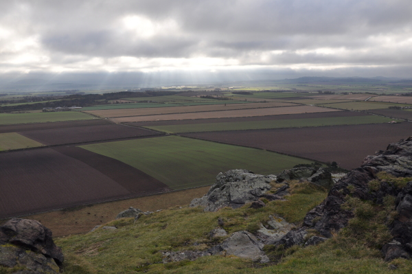 Scaled image dsc_1017.jpg 