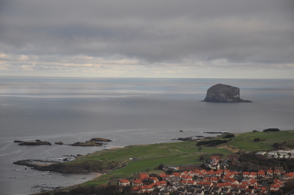 Scaled image dsc_1025.jpg 