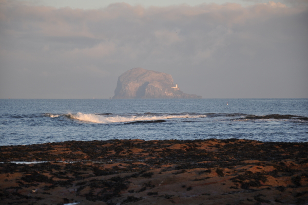 Scaled image dsc_1119.jpg 