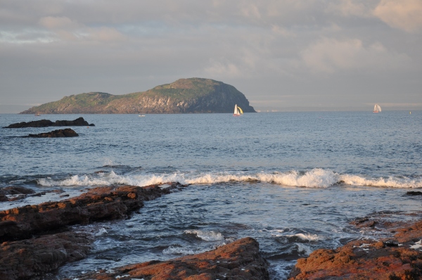 Scaled image dsc_1121.jpg 