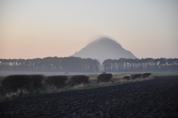 Scaled image dsc_1125.jpg 