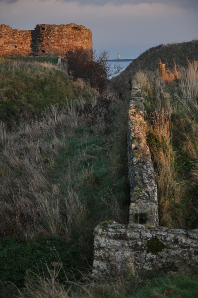 Scaled image dsc_1132.jpg 