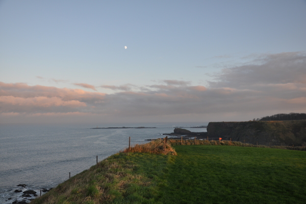 Scaled image dsc_1139.jpg 