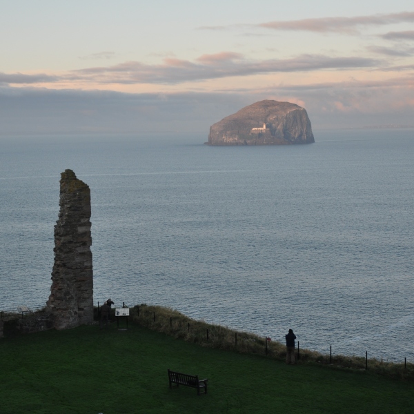 Scaled image dsc_1143m.jpg 