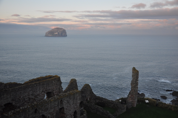 Scaled image dsc_1147.jpg 