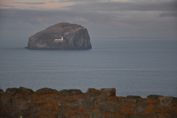 Scaled image dsc_1170.jpg 