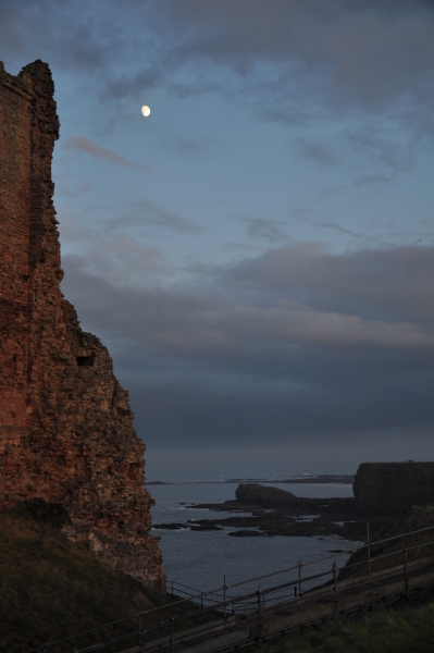 Scaled image dsc_1194.jpg 