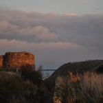 Thumbnail dsc_1131m.jpg 