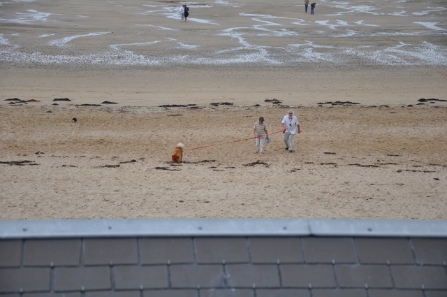 Diapositive 4_DSC_1133.JPG 