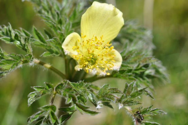 Diapositive 3_DSC_0774.JPG 