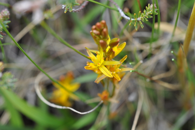 Diapositive 3_DSC_1202.JPG 