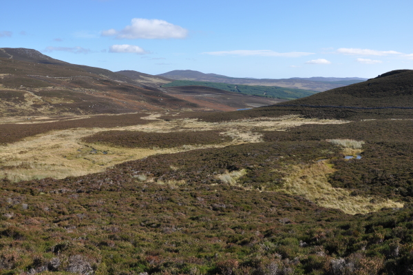 Scaled image dsc_0533.jpg 