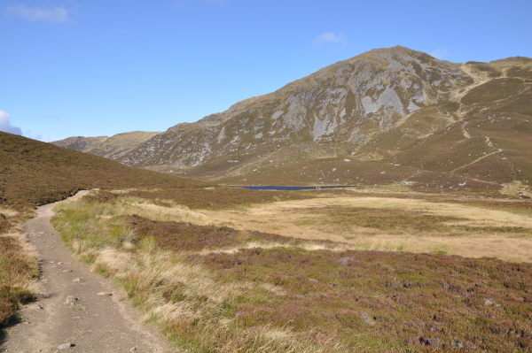 Scaled image dsc_0540.jpg 