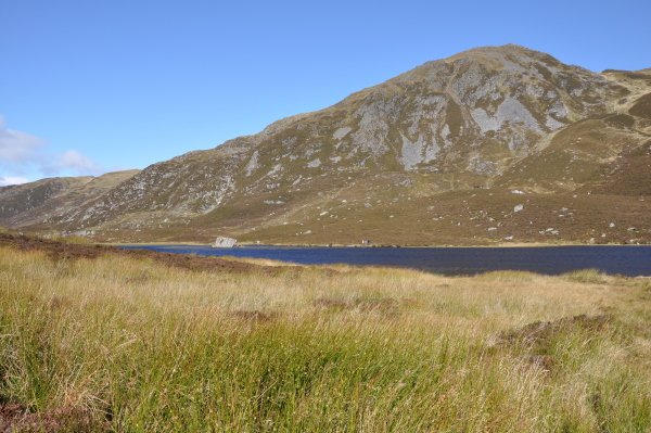 Scaled image dsc_0551.jpg 